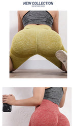 Yoga Short Women Quick Dry Seamless Fitnes