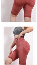 Yoga Short Women Quick Dry Seamless Fitnes
