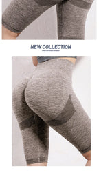 Yoga Short Women Quick Dry Seamless Fitnes