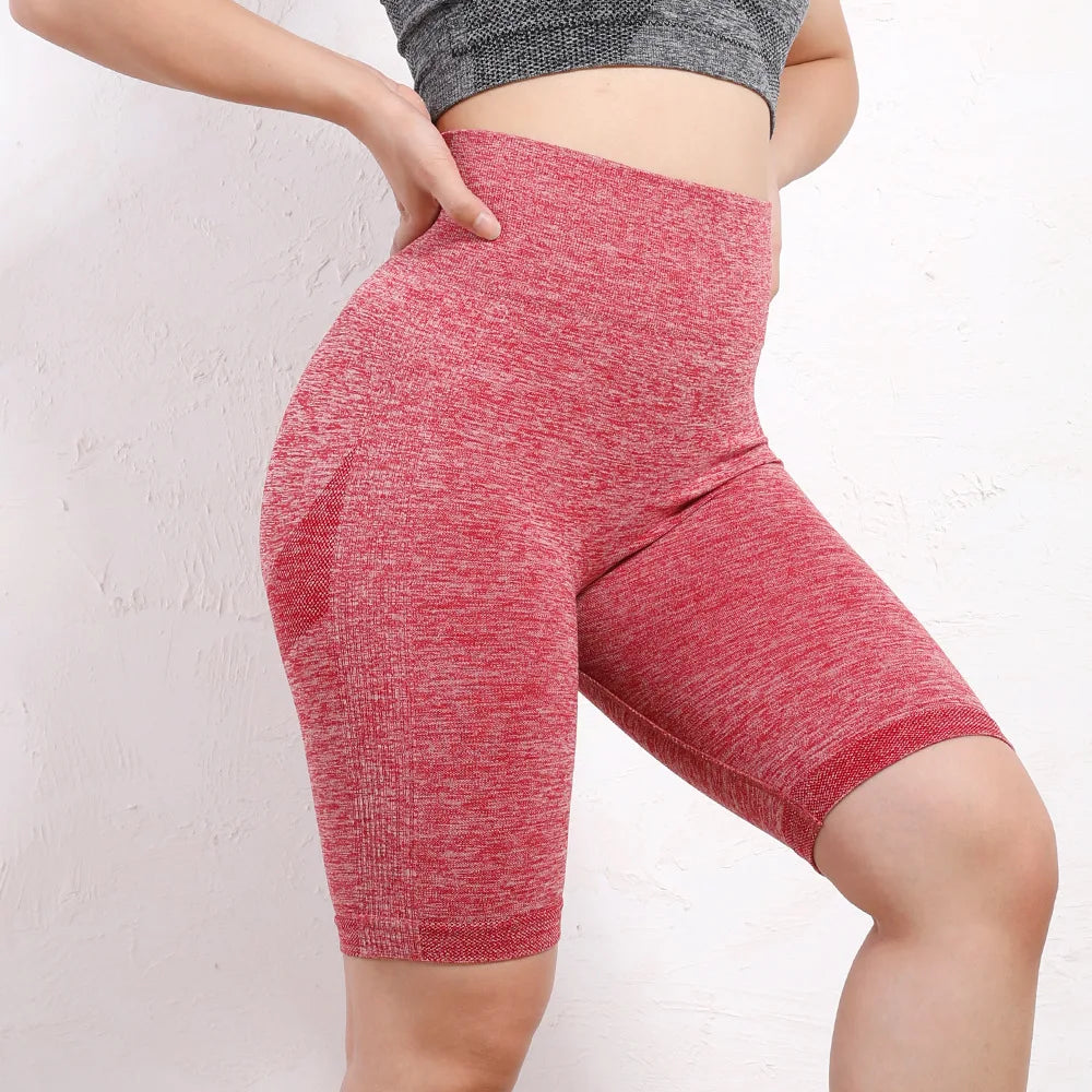 Yoga Short Women Quick Dry Seamless Fitnes