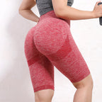 Yoga Short Women Quick Dry Seamless Fitnes