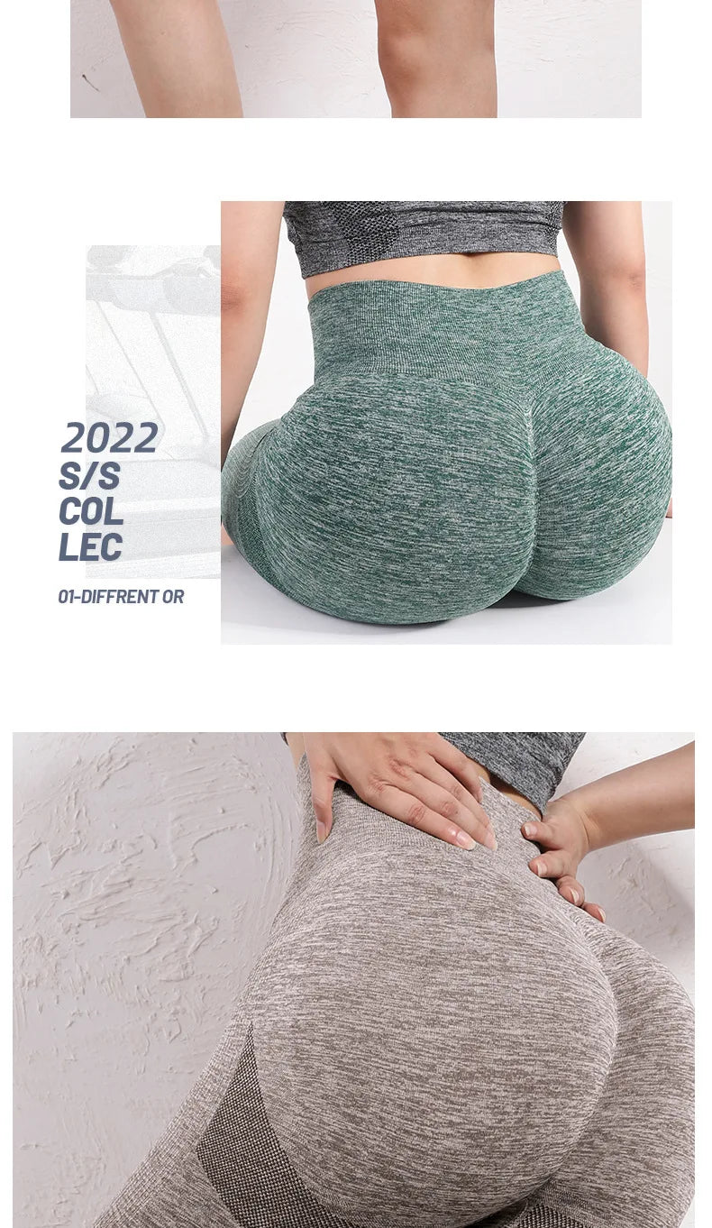 Yoga Short Women Quick Dry Seamless Fitnes